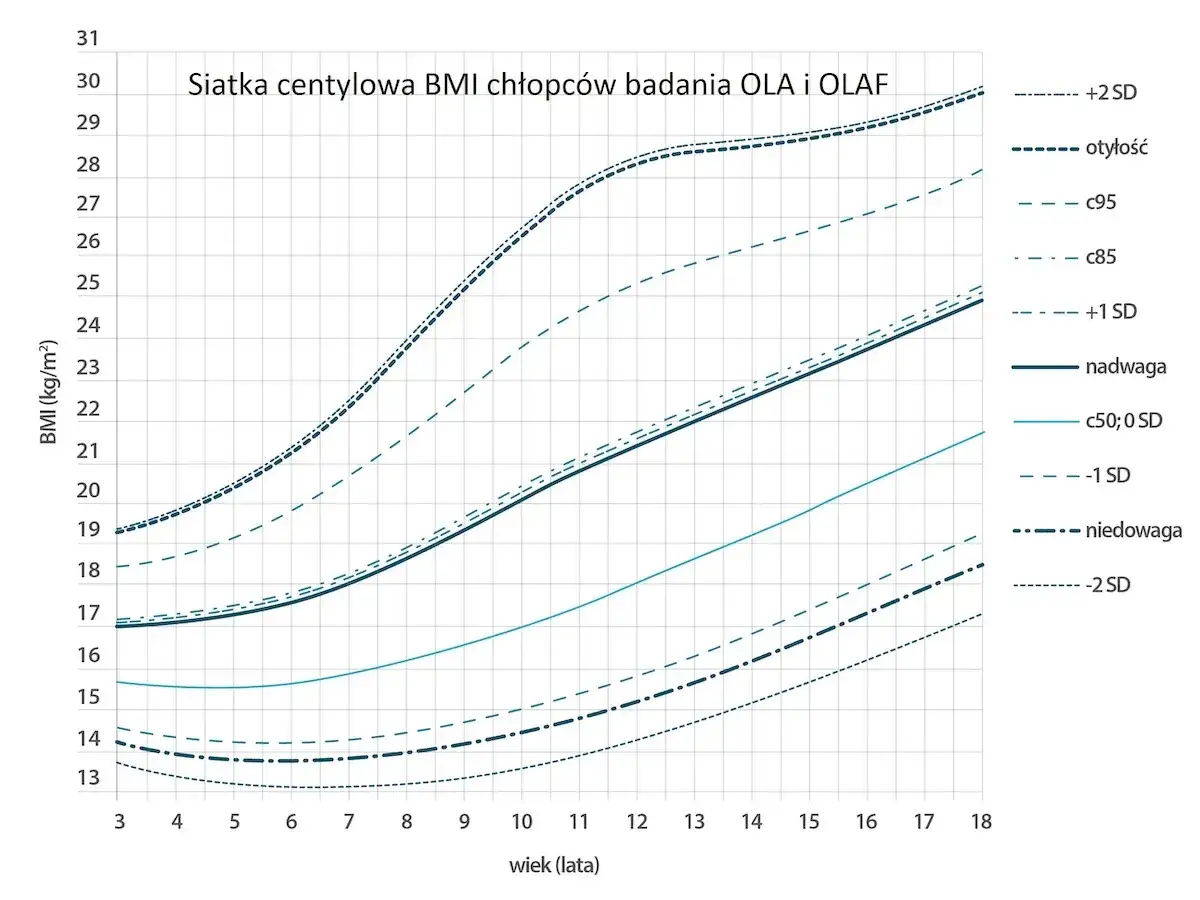 Siatka centylowa BMI chłopców pokazuje, jak rosną centyle dzieci. Wykres przedstawia BMI w zależności od wieku, z zaznaczonymi progami nadwagi i otyłości.