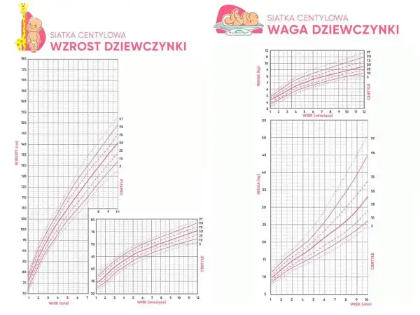Siatki centylowe wzrostu i wagi dziecka - jak czytać wyniki?